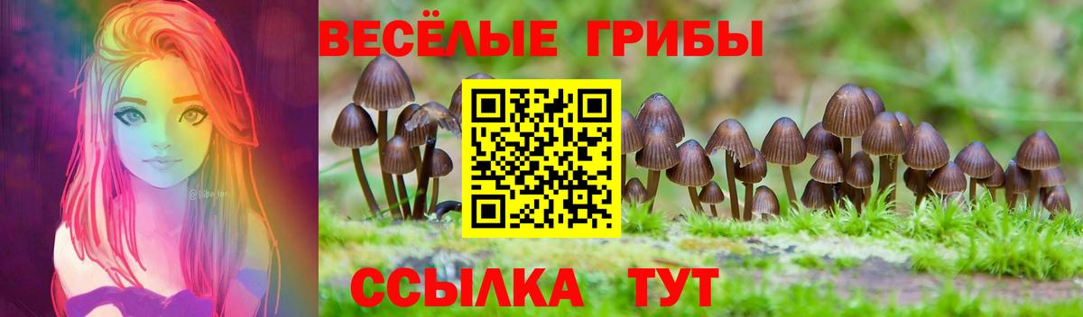 Галлюциногенные грибы мухоморы Южноуральск